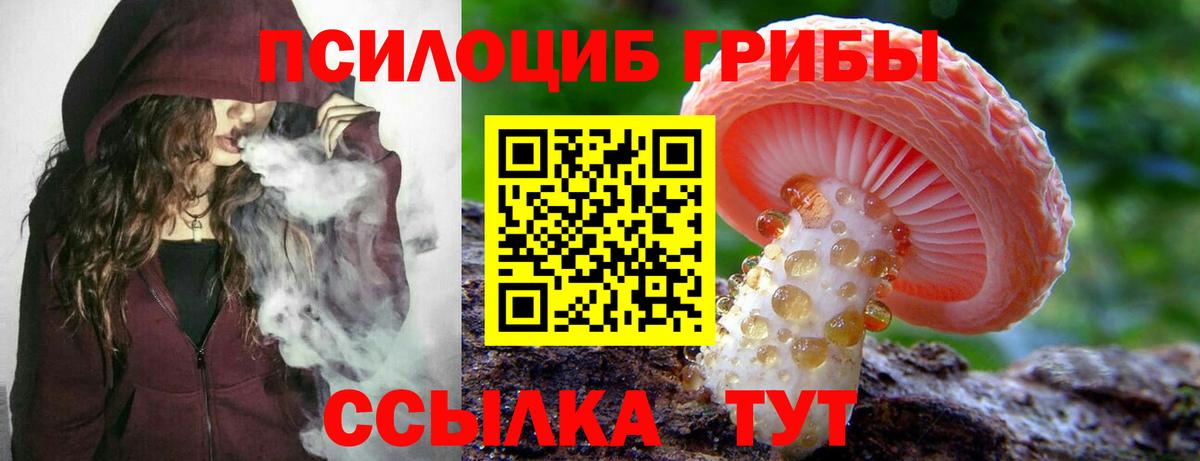 дарнет шоп  Вход с VPN  Нижневартовск  Галлюциногенные грибы прущие грибы 